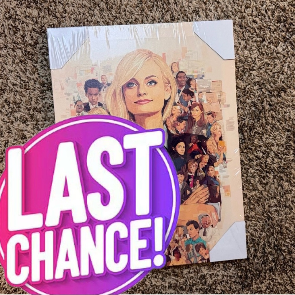 💥 DONATING SOON Parks and Recreation Inspired Collage Canvas Art - NWT